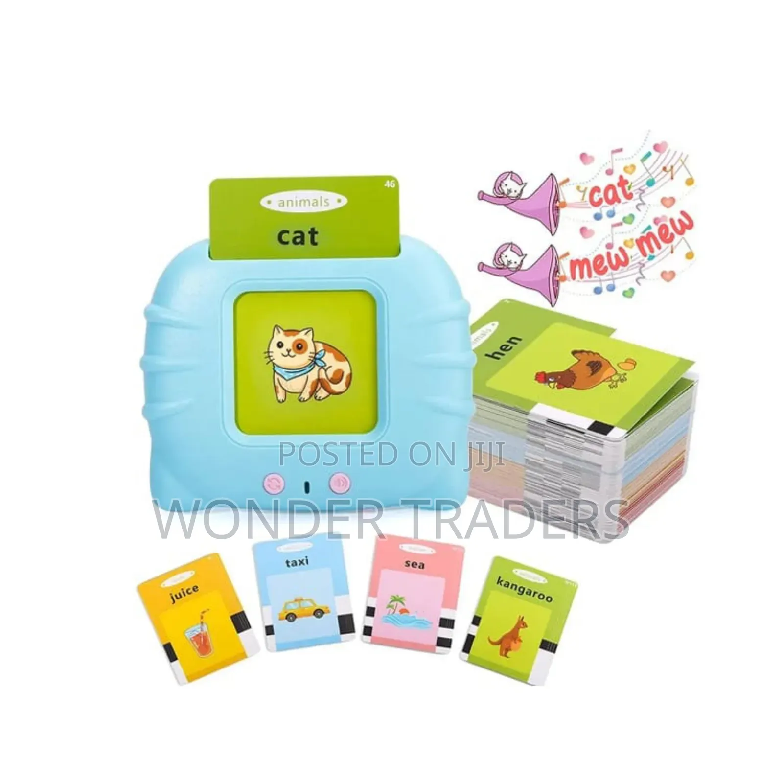 Flash Audio Cards *Flash Cards Colour Pink and Blue