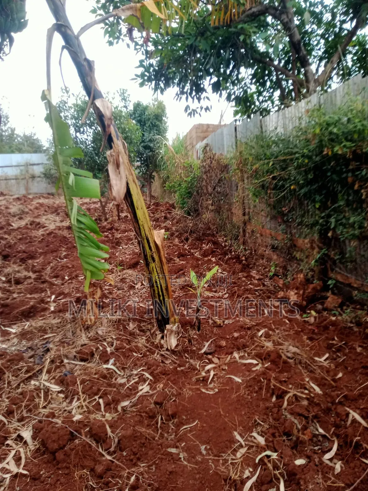 50 by 100'ft on Sale at Kenol-Murang'A