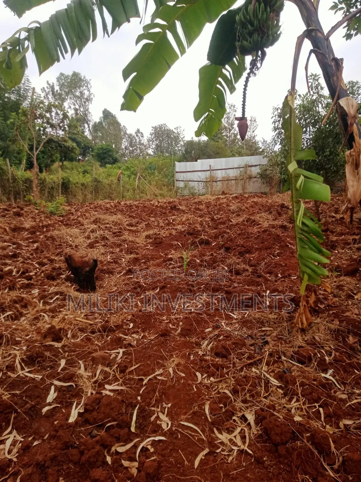 50 by 100'ft on Sale at Kenol-Murang'A