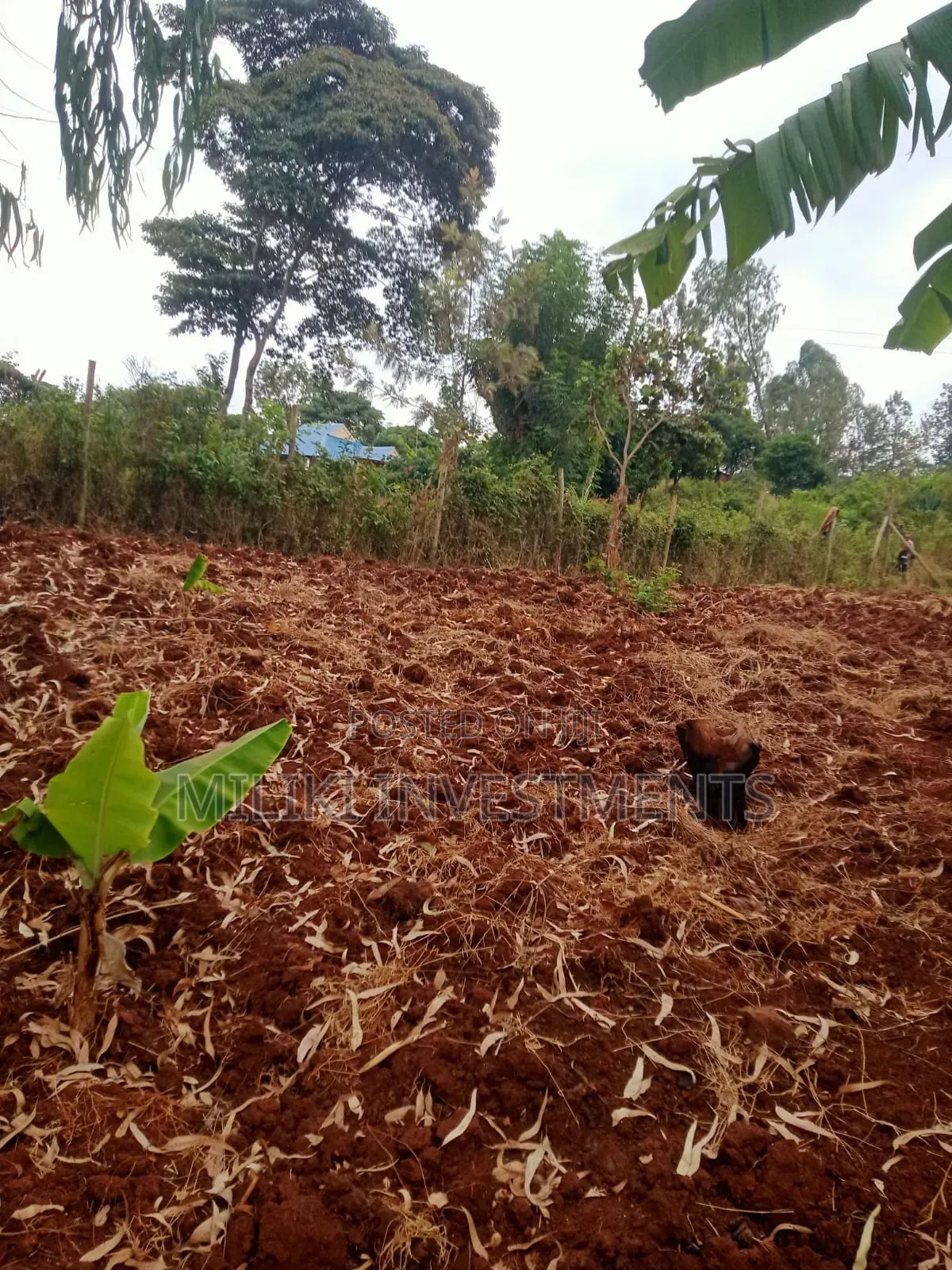 50 by 100'ft on Sale at Kenol-Murang'A