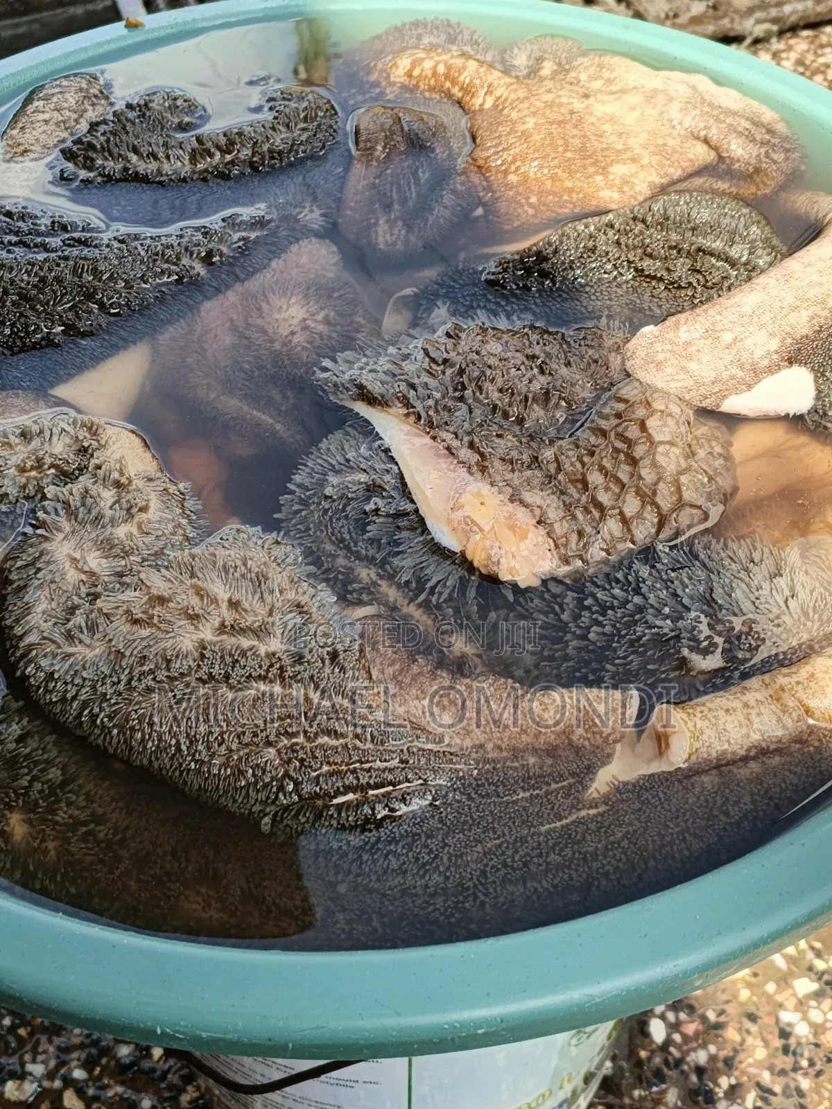 Beef Matumbo 1KG - 320(Tripe Intestines)