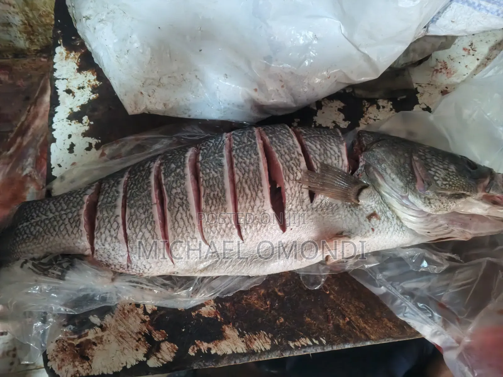 Nile Perch/Mbuta 1KG - 580(Lates Niloticus)