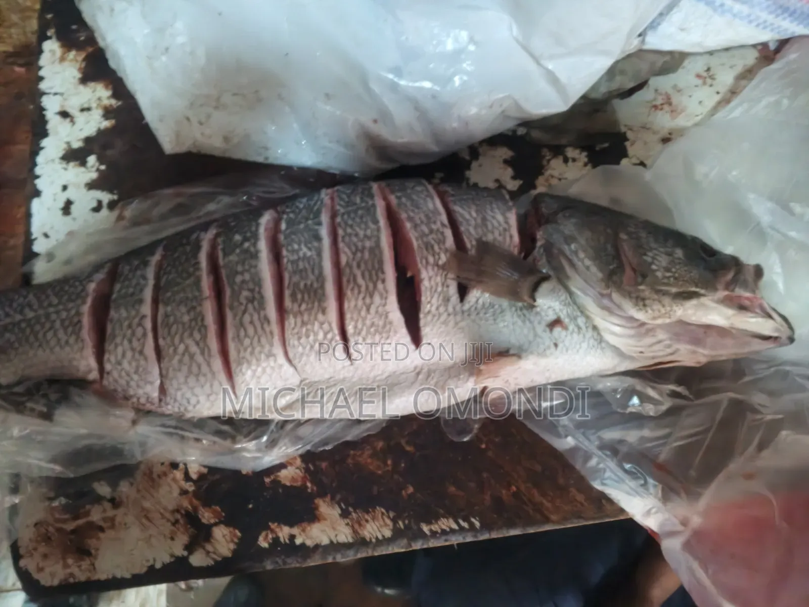 Nile Perch/Mbuta 1KG - 580(Lates Niloticus)