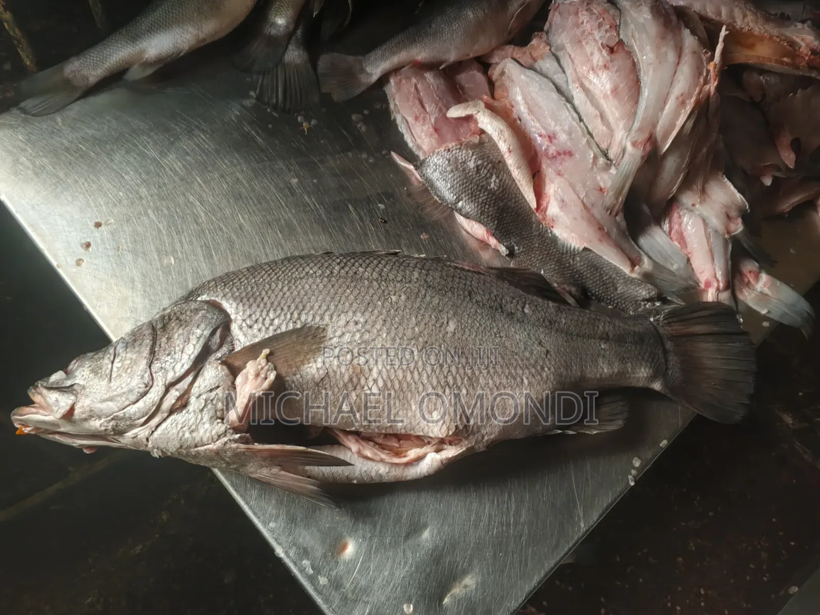 Nile Perch/Mbuta 1KG - 580(Lates Niloticus)