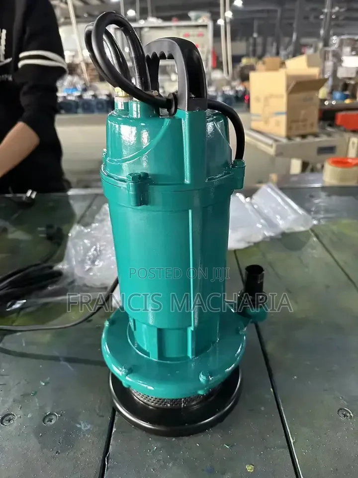 Sabmersible Electric Water Pump