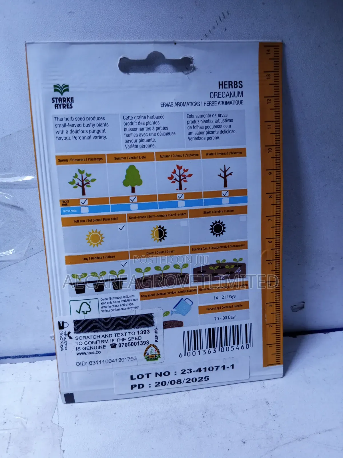 Oreganum Herb Seeds 0.25g Starke Ayres