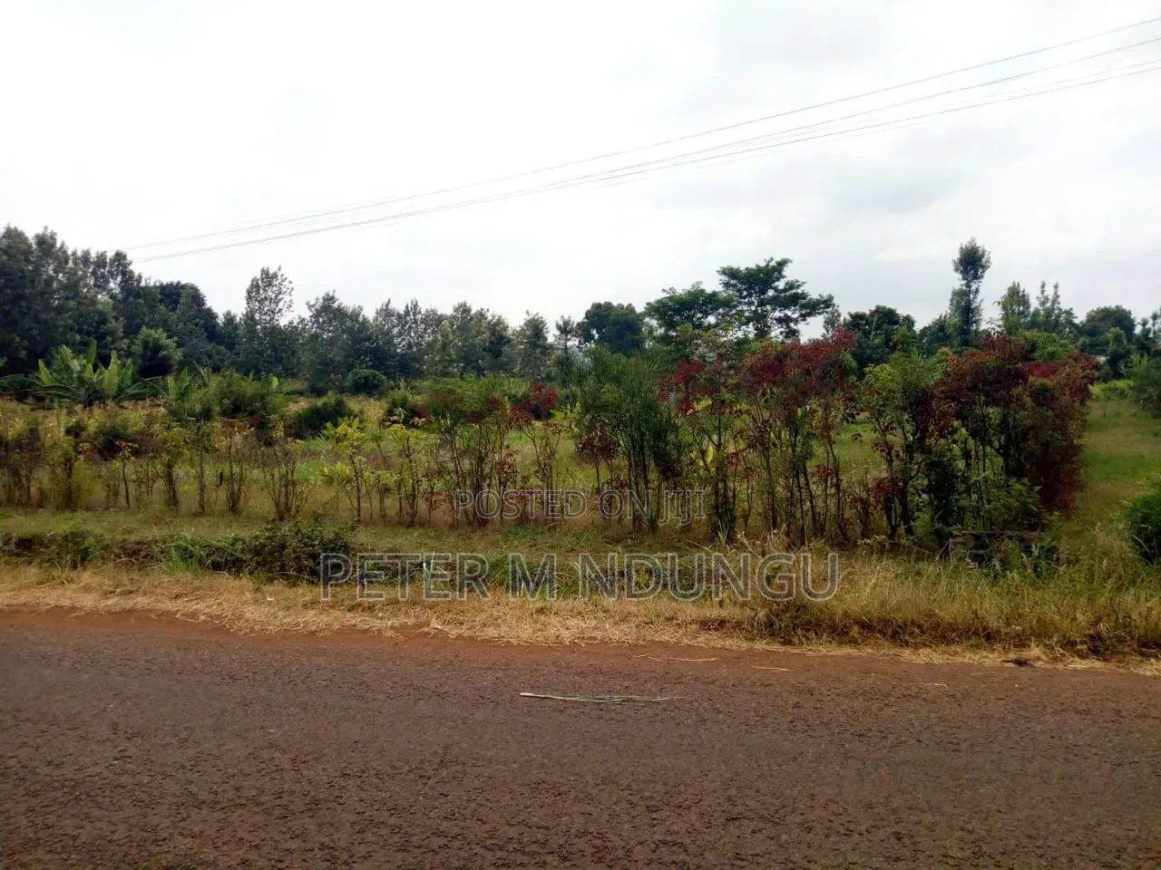 Kenol Murang'a- 1/2 Acre Prime Plots Residential/Commercial