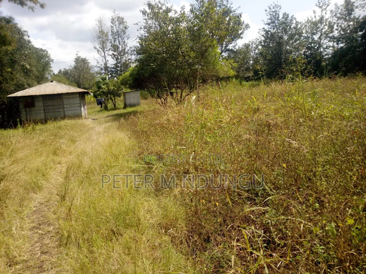 Kenol Murang'a- 1/2 Acre Prime Plots Residential/Commercial