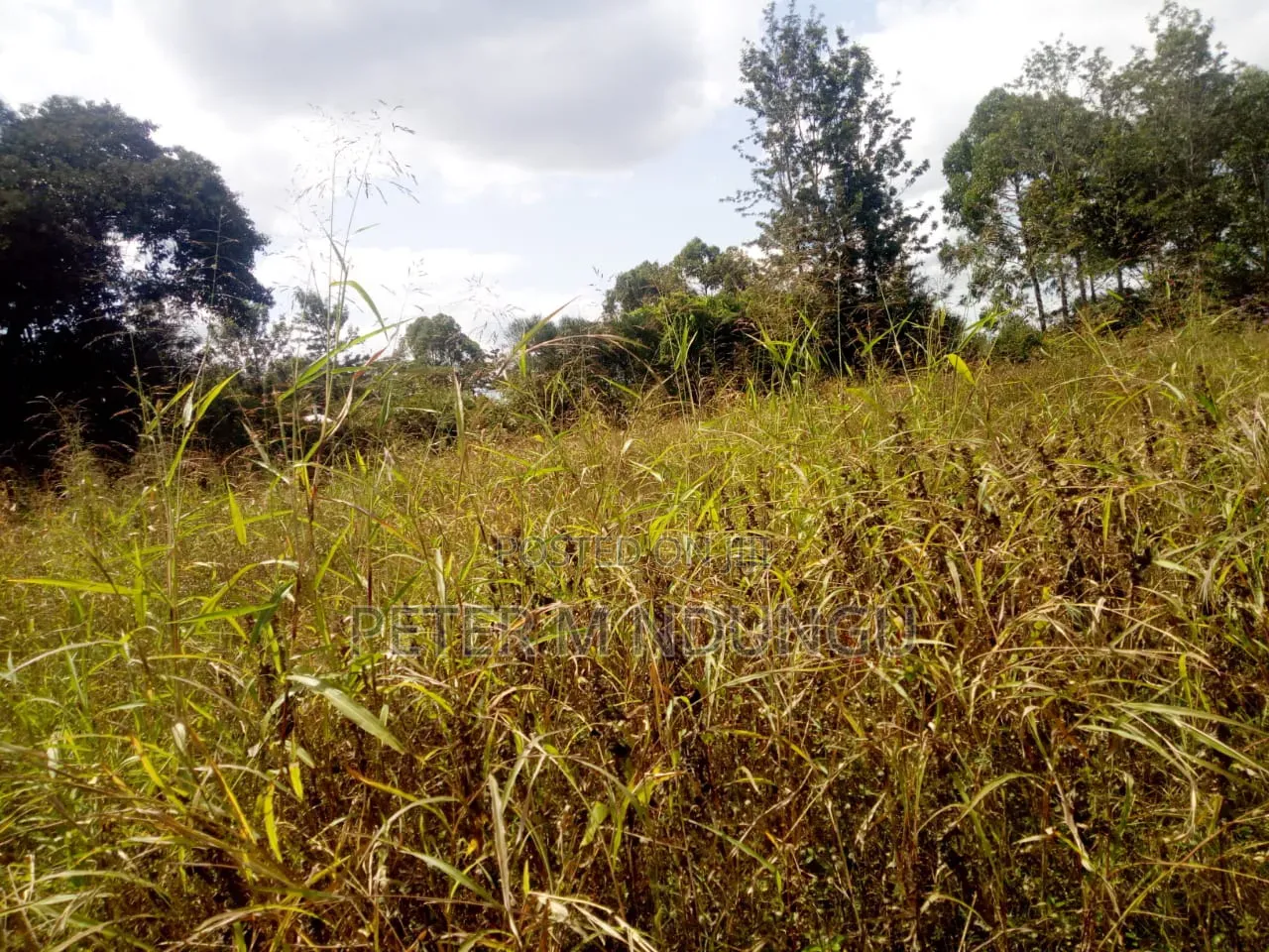 Kenol Murang'a- 1/2 Acre Prime Plots Residential/Commercial