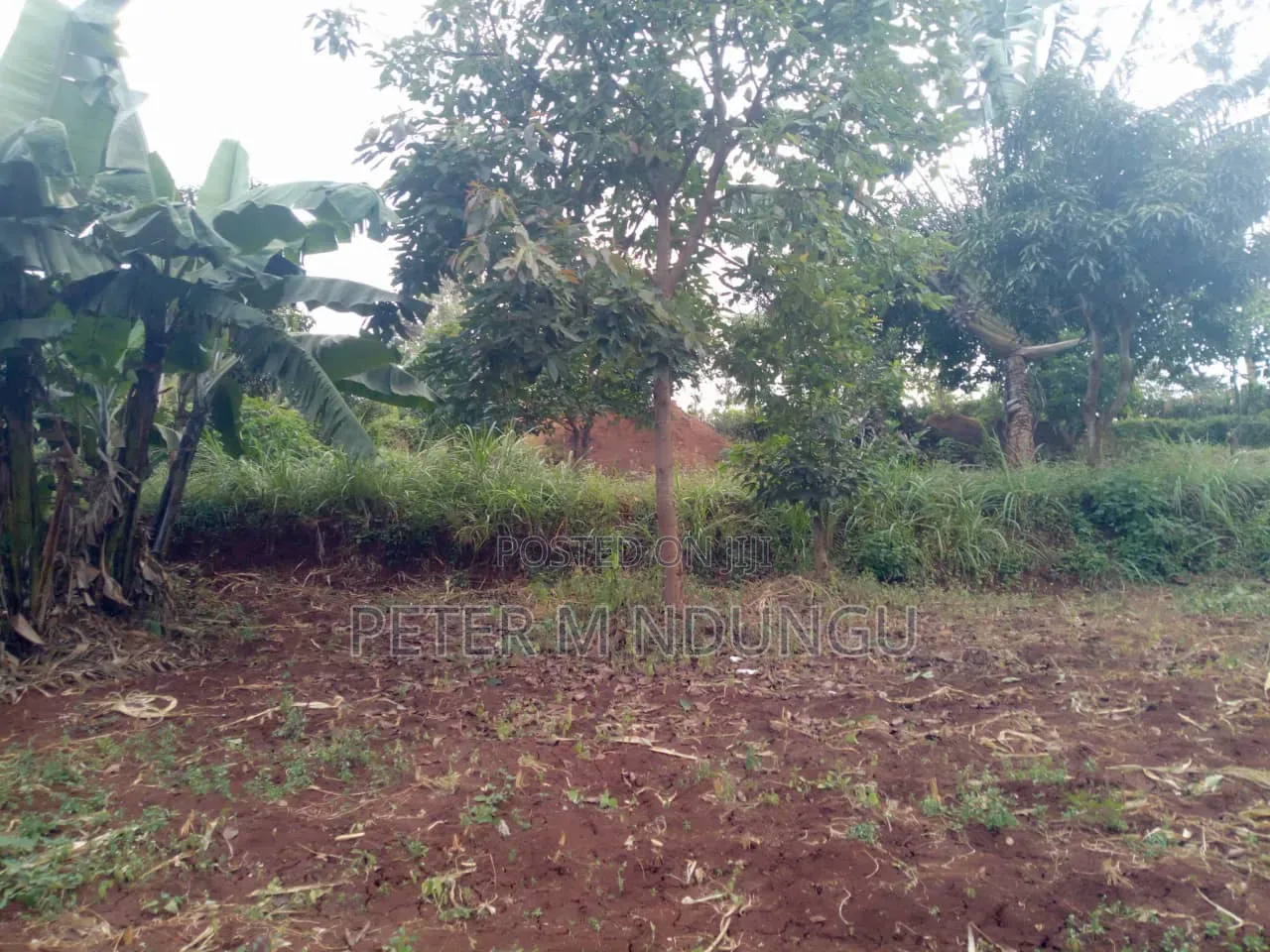 Kenol Murang'a- 1/2 Acre Prime Plots Residential/Commercial