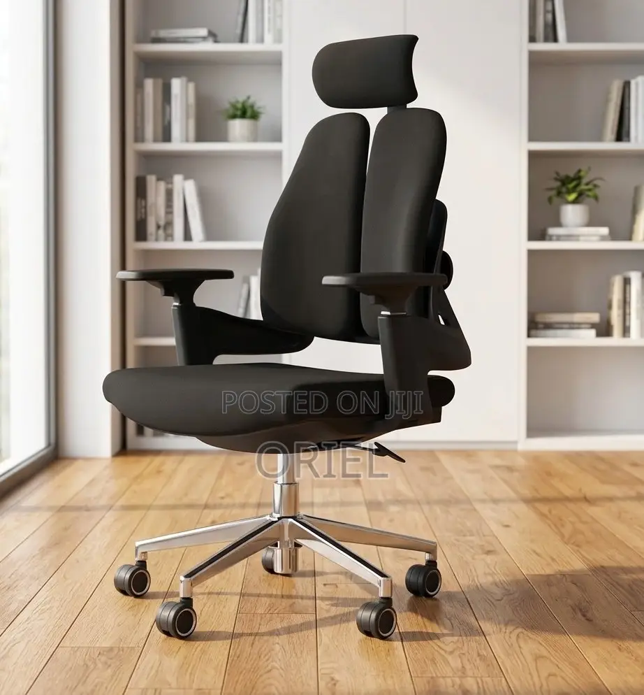 Office Chair : Lumbar Support Ergonomic Office Chair