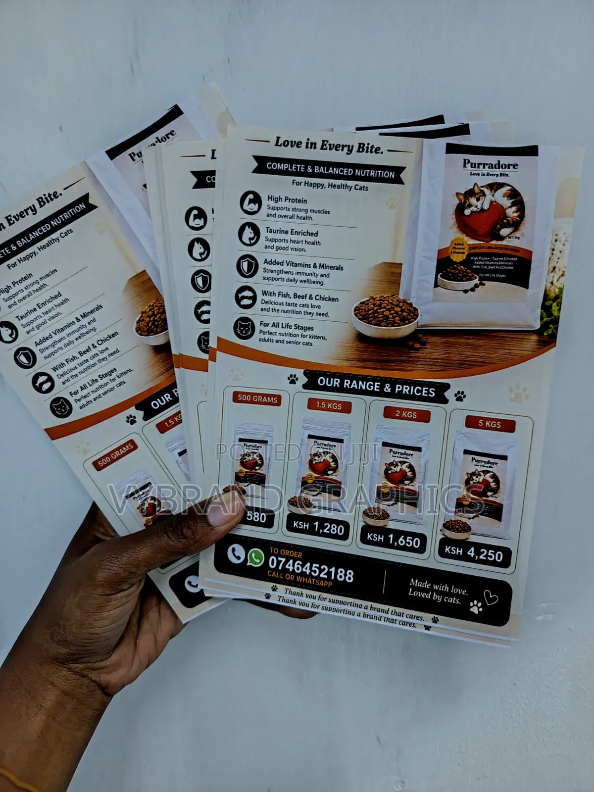Flyer Brochure Printing– From KSH 10