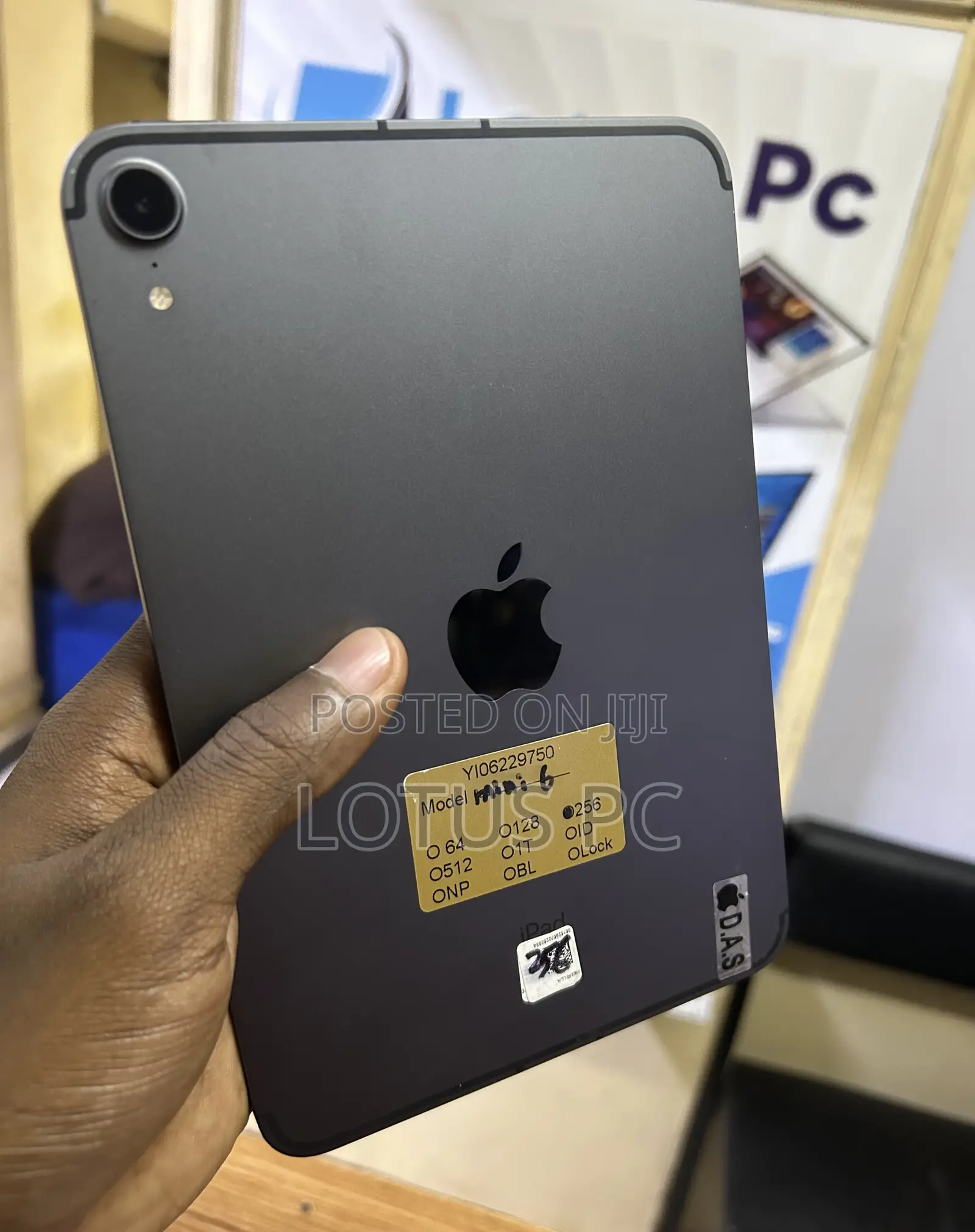 Apple iPad mini 6 256 GB Gray