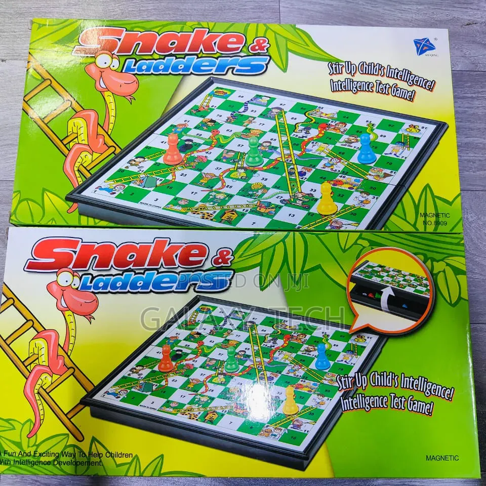 Magnetic Snake Ladders Board Game