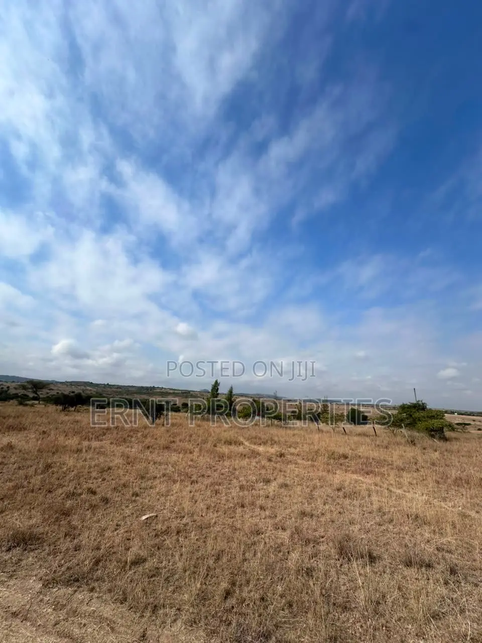 Quick Sale – 1⁄4 Acre Land for Sale | Kinaine, Athi River