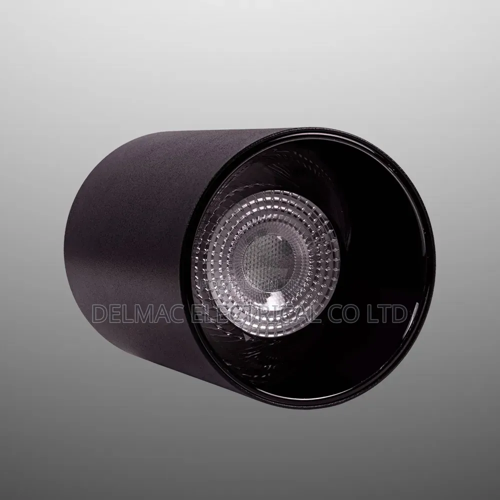 30watt Spot Light