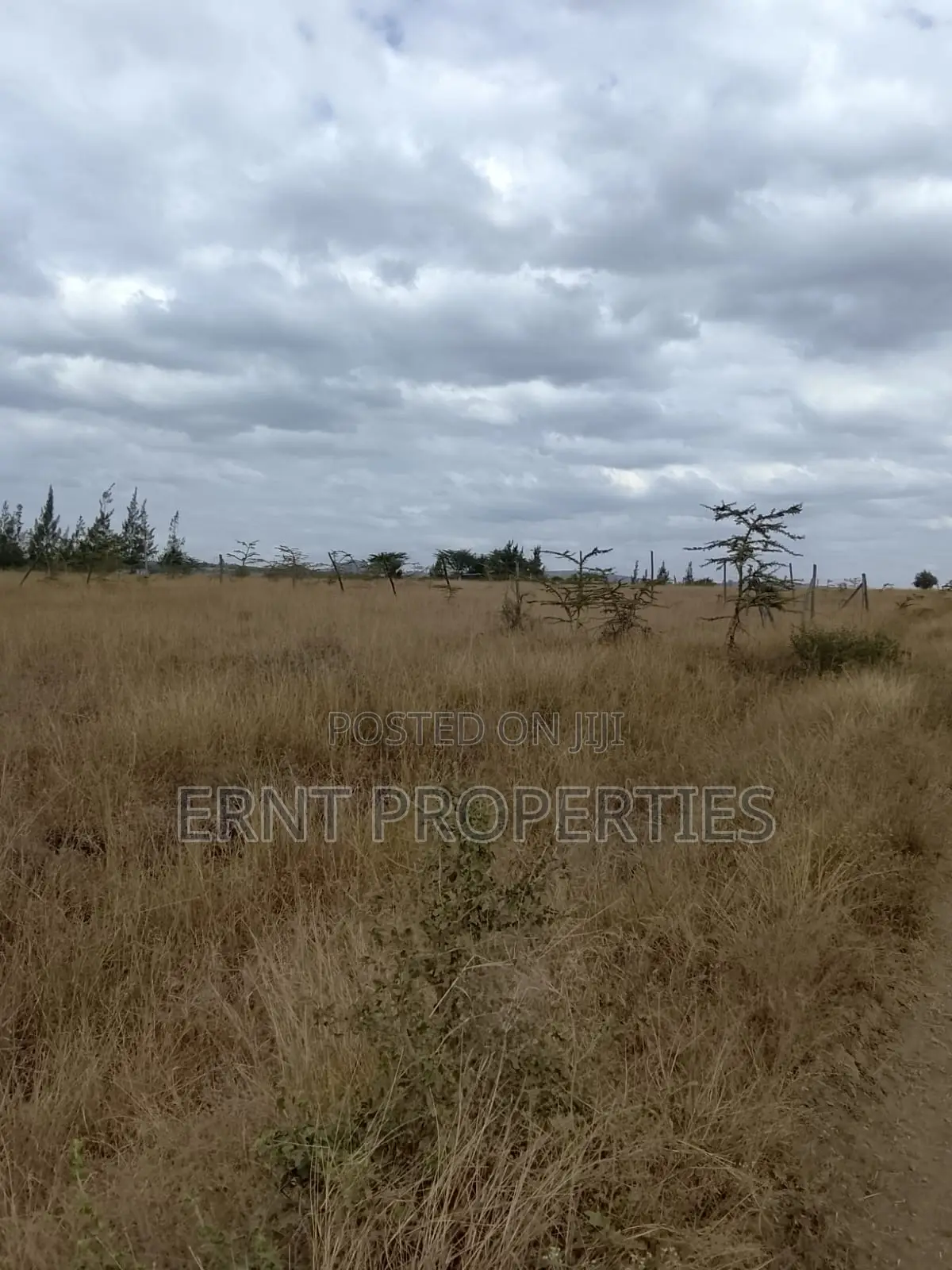 Quick Sale – 1⁄4 Acre Land for Sale | Kinaine, Athi River