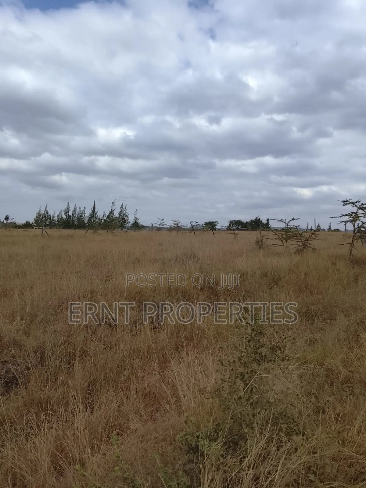Quick Sale – 1⁄4 Acre Land for Sale | Kinaine, Athi River