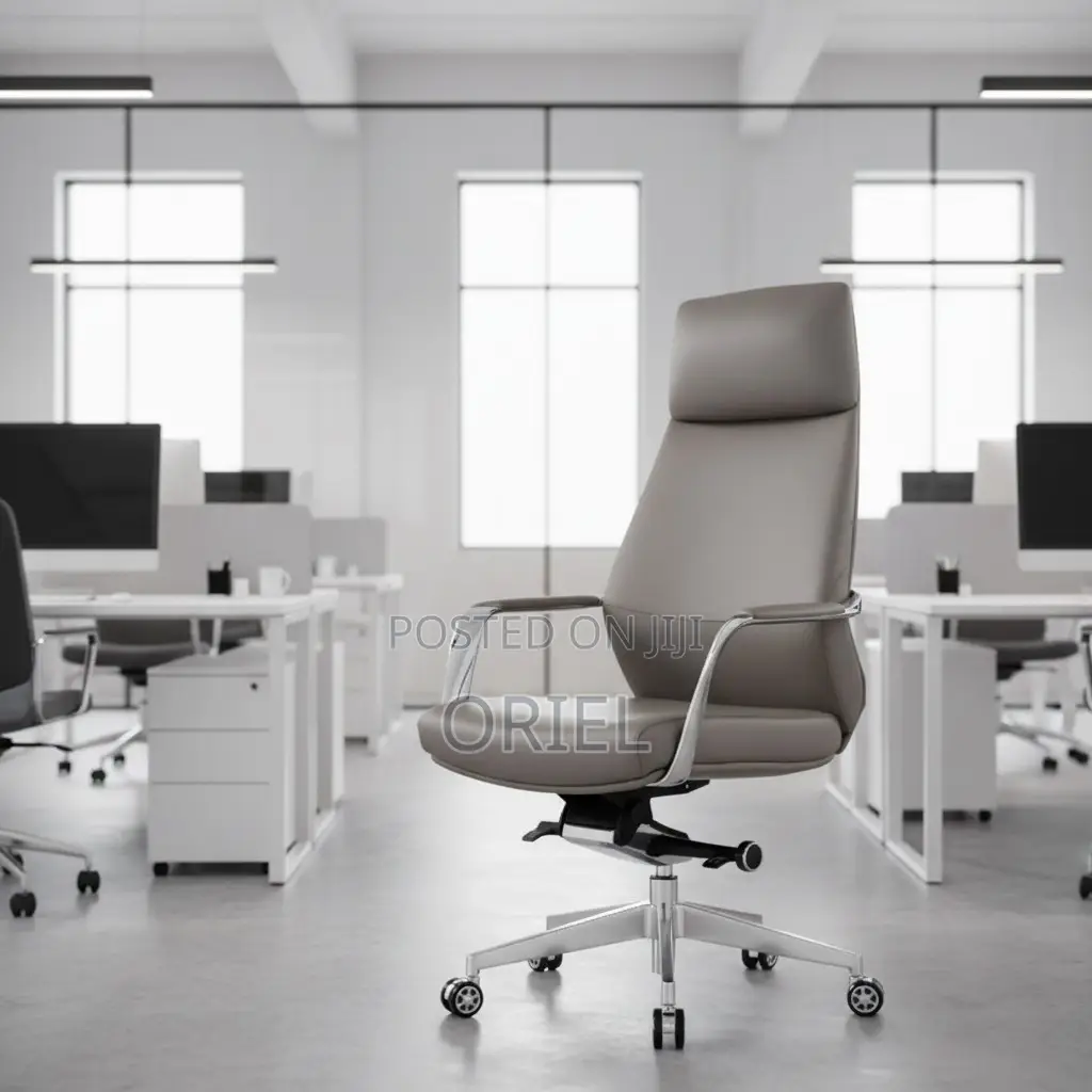Office Chair : Executive Luxury Office Gray Leather Chair