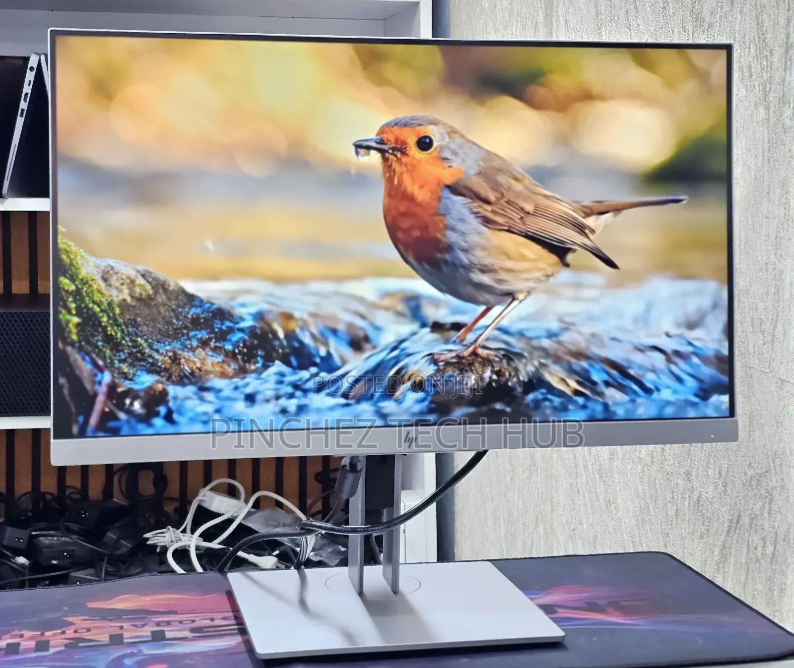HP E233 Monitor 
23 Inch Screen Size
1920 × 1080 FHD 