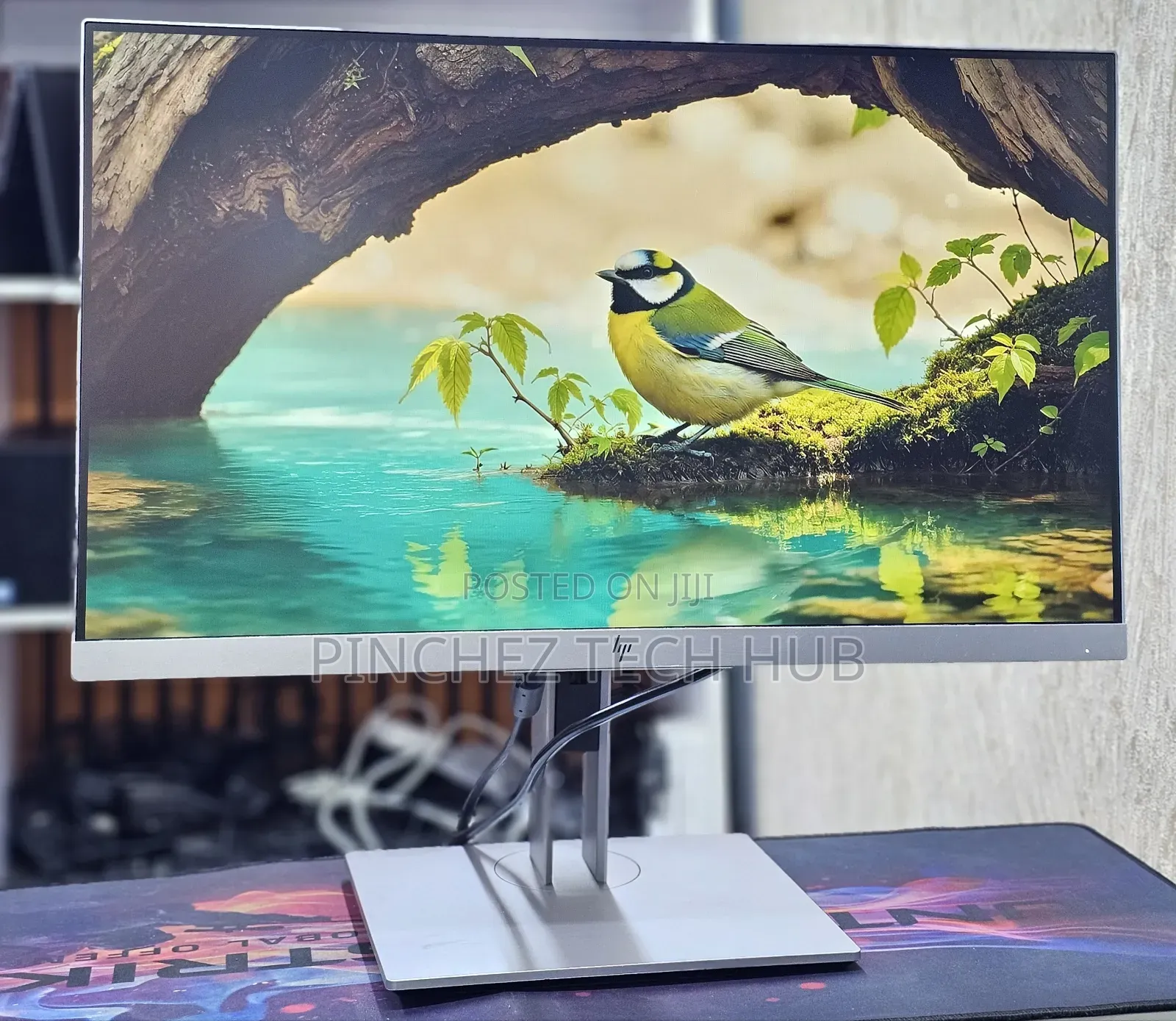 HP E233 Monitor 
23 Inch Screen Size
1920 × 1080 FHD 