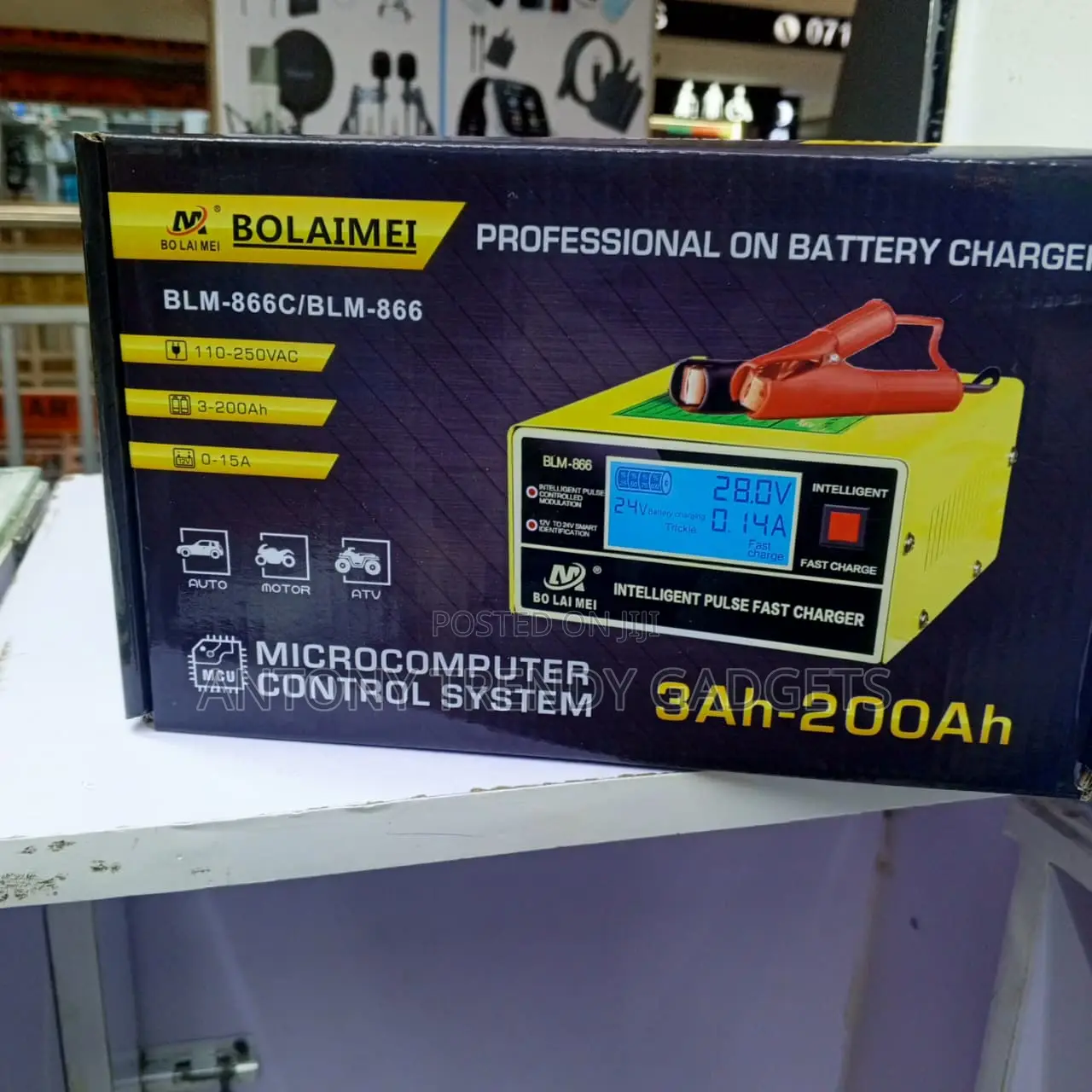 Professional Smart Battery Charger for Cars Motorcycles ATVs