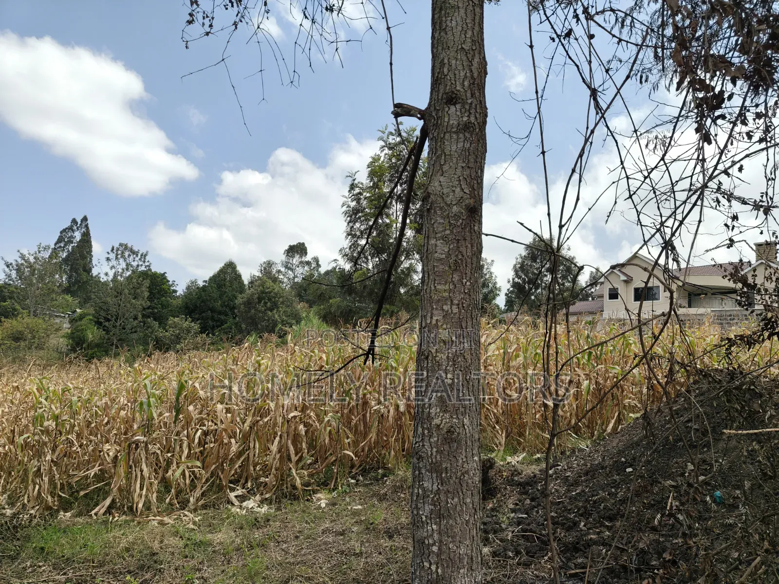 Prime Residential Quarter Acre Plot for Sale in Olkeri, Ngong
