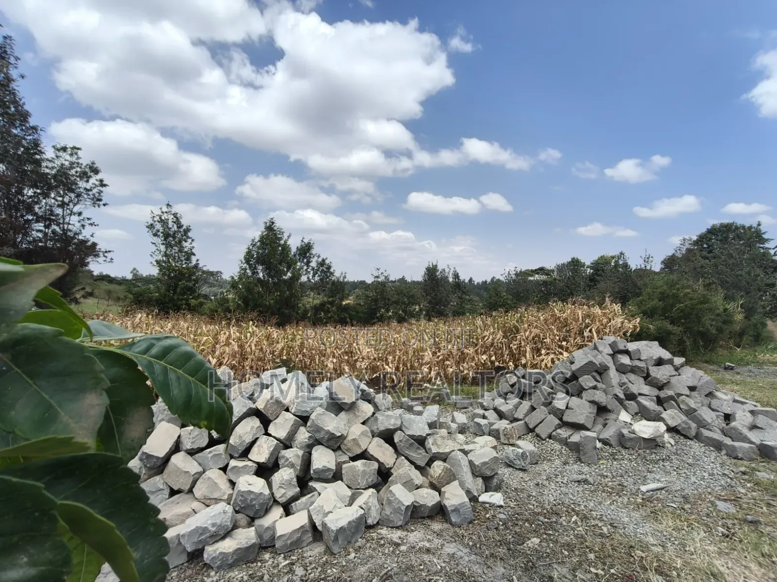 Prime Residential Quarter Acre Plot for Sale in Olkeri, Ngong
