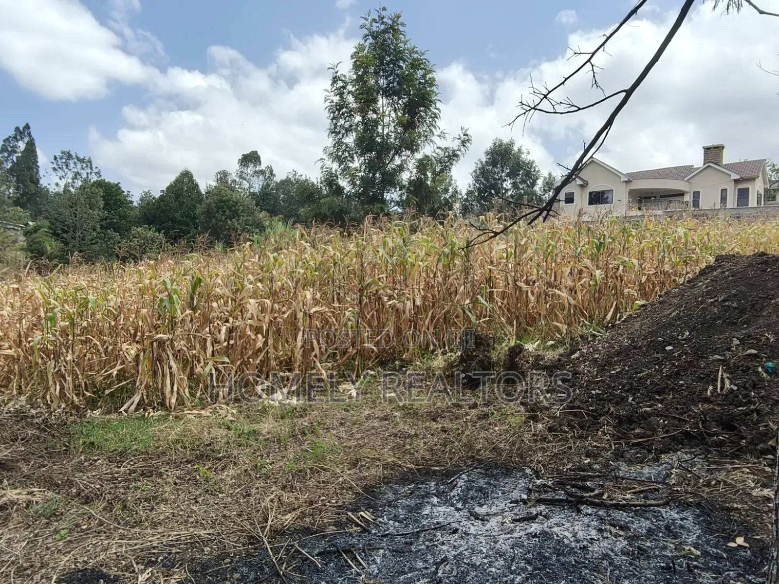 Prime Residential Quarter Acre Plot for Sale in Olkeri, Ngong