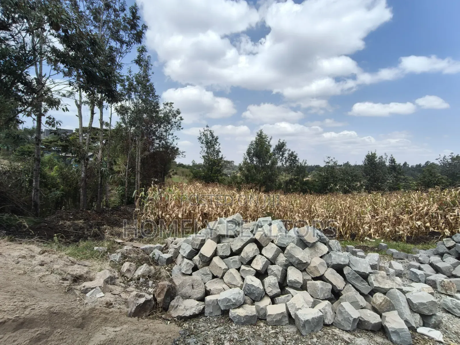 Prime Residential Quarter Acre Plot for Sale in Olkeri, Ngong