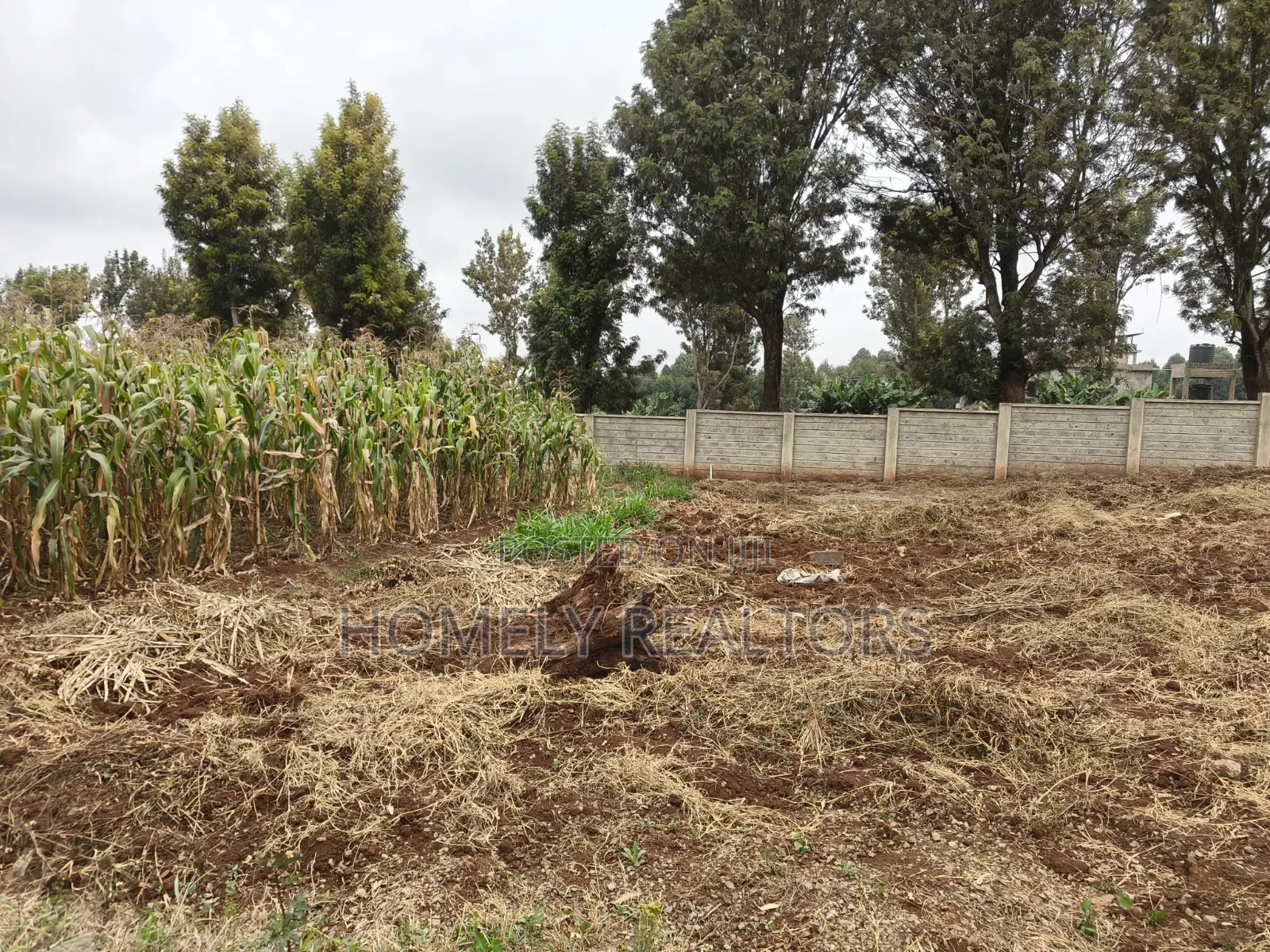Residential 8th Acre Gated Community Plot for Sale in Kikuyu, Ondiri
