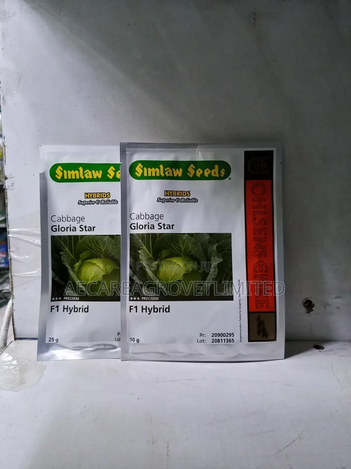 Cabbage Gloria Star F1 Hybrid Seeds 10g, 25g