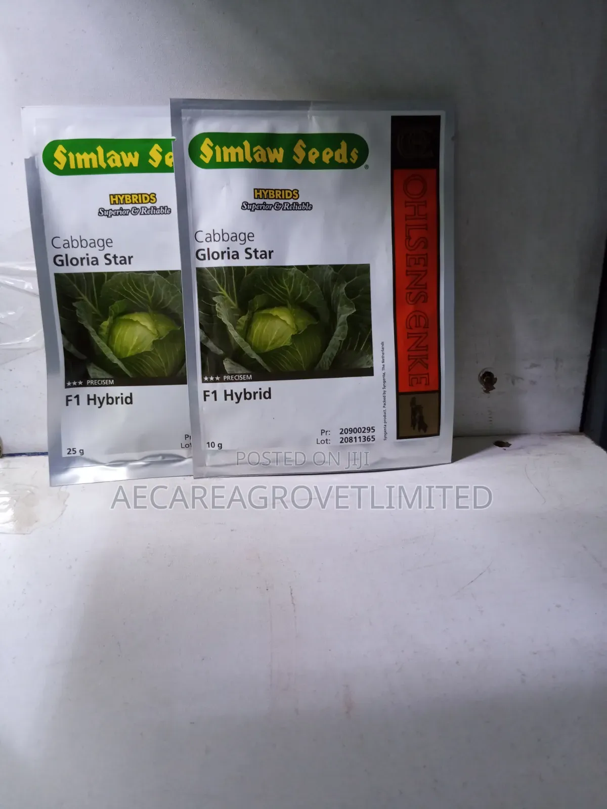 Cabbage Gloria Star F1 Hybrid Seeds 10g, 25g