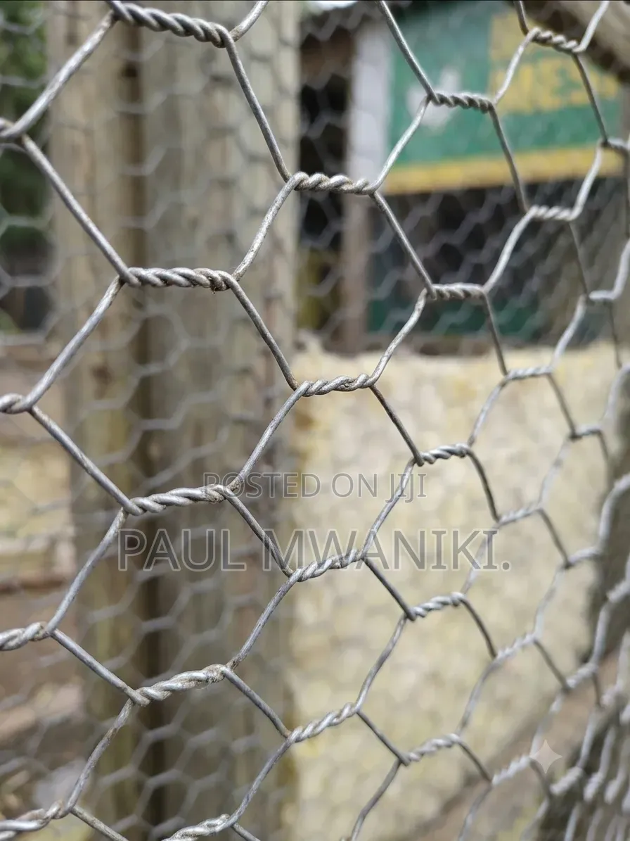 Galvanized Hexagonal Wire Mesh / Chicken Wire (1m X 30m Roll)