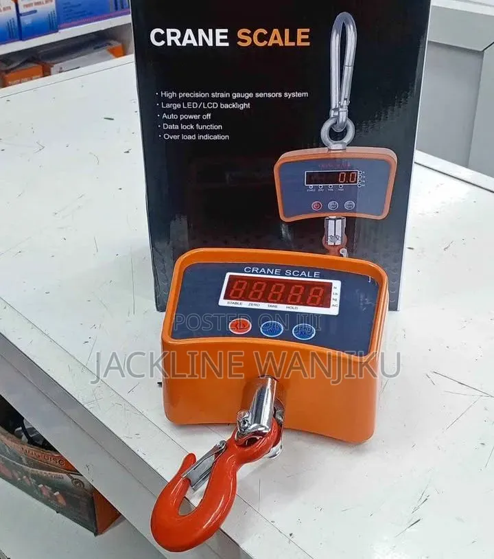 Reliable Commercial Digital 500kgs Crane Scale