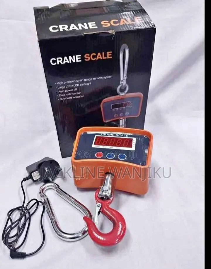 High Quality 500kgs Crane Scale/Most Reliable 500kgs Crane Scale