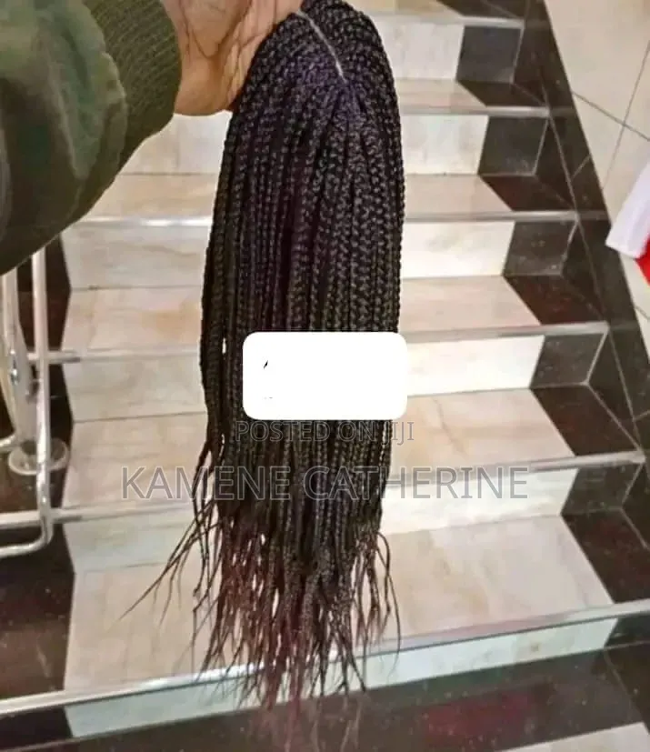 Braided Wig