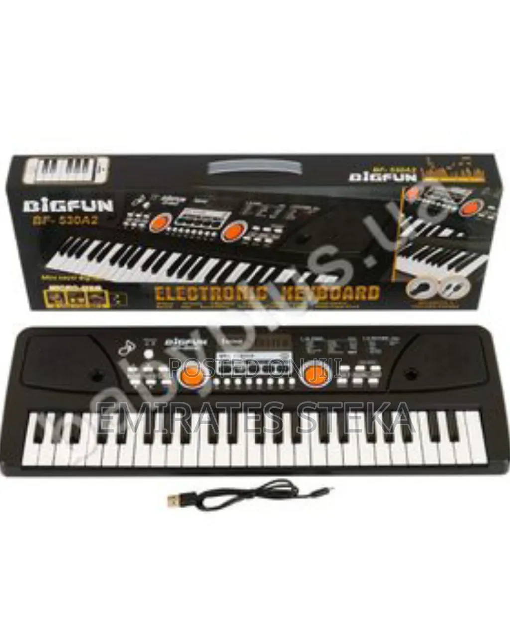 61 Keys Electronic Keyboard for Kids, Perfect Birthday Gift