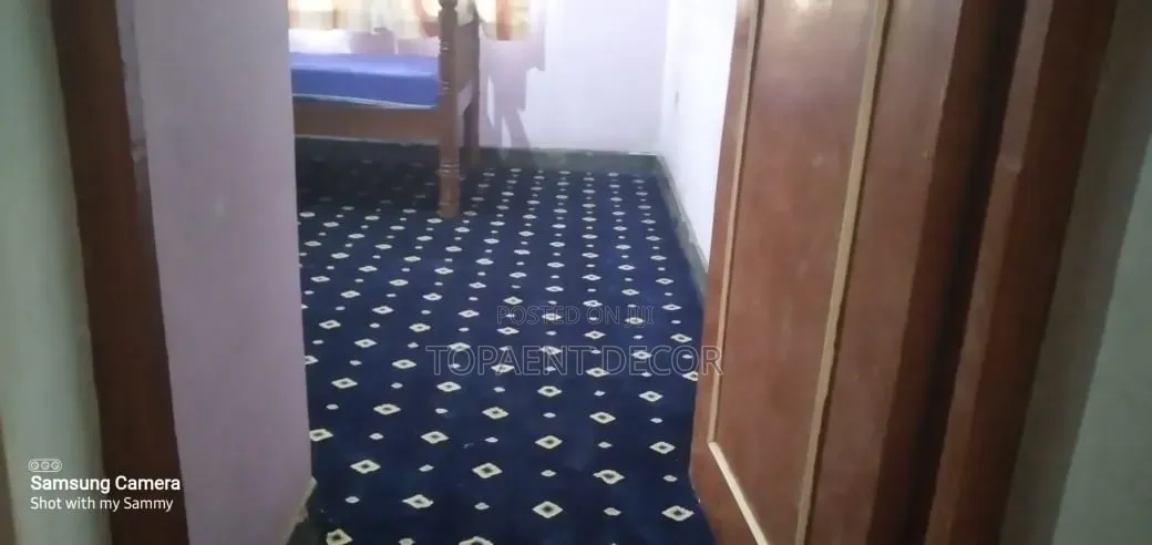 Warm Spongy House Wall to Wall Carpets