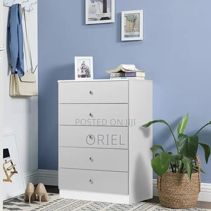 Modern Cabinet : 5-Drawer Standard Home Cabinet
