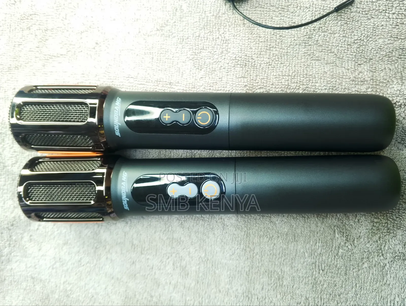 Karaoke Speaker for Adults and Children