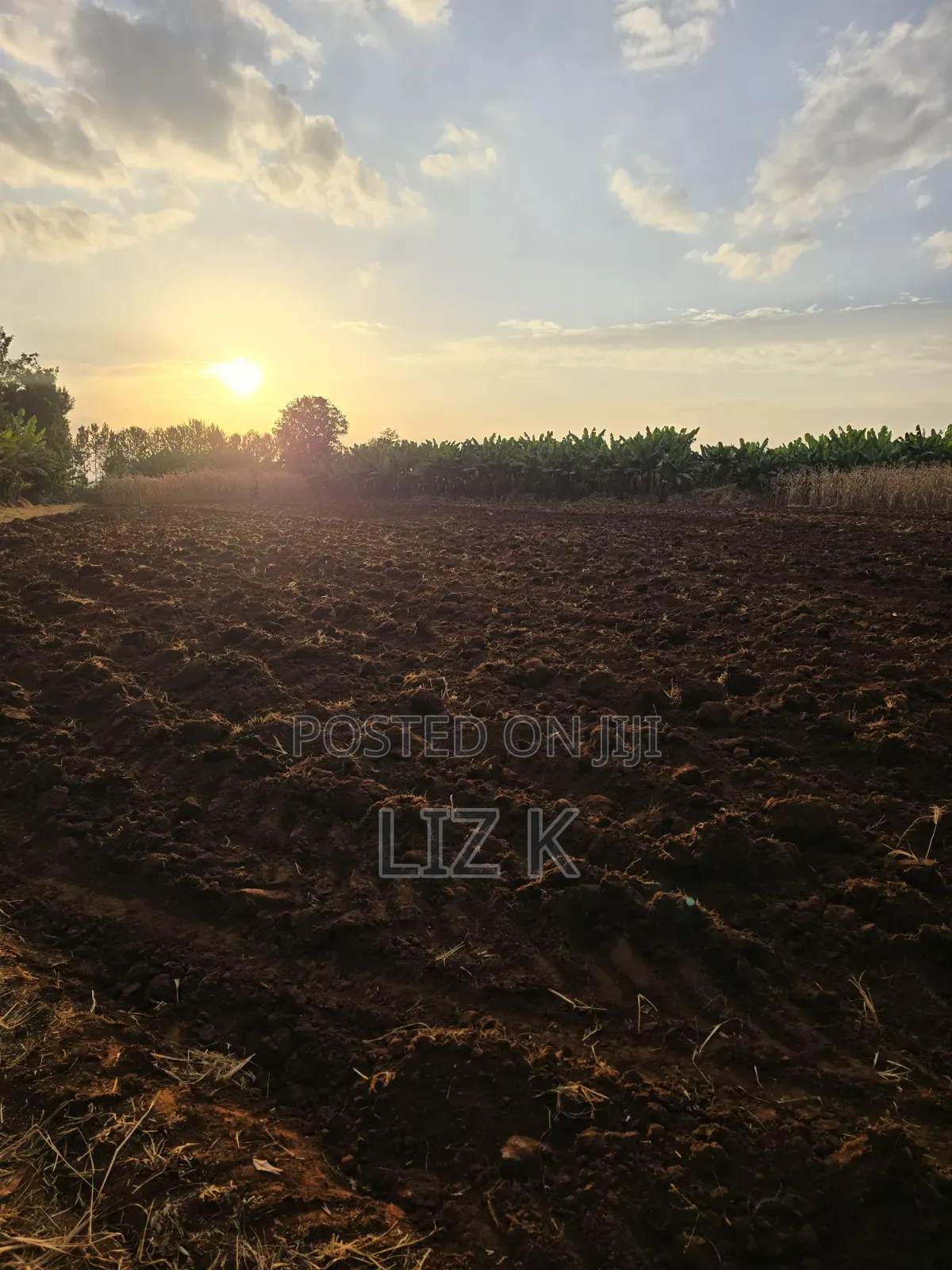 1Acre for Sale in Mugutha