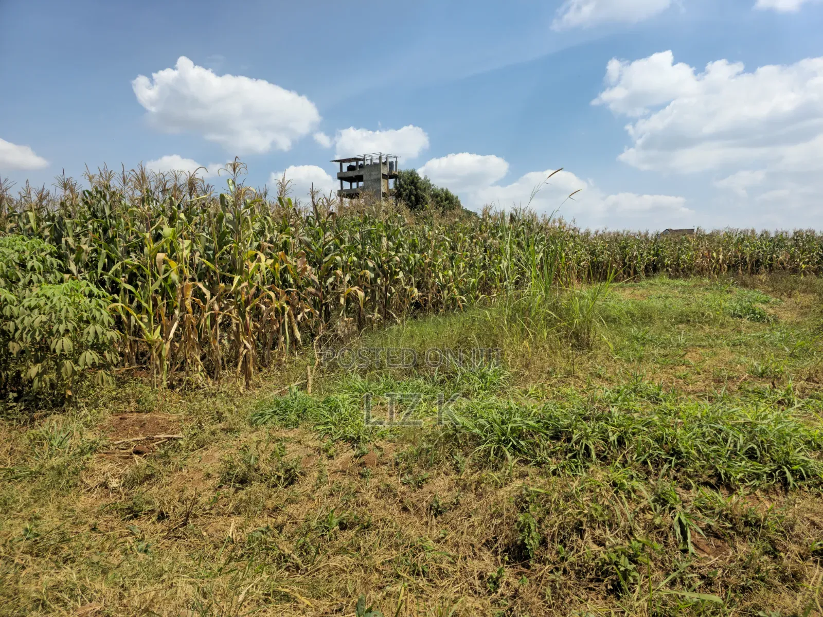 1 Acre Land in Mugutha