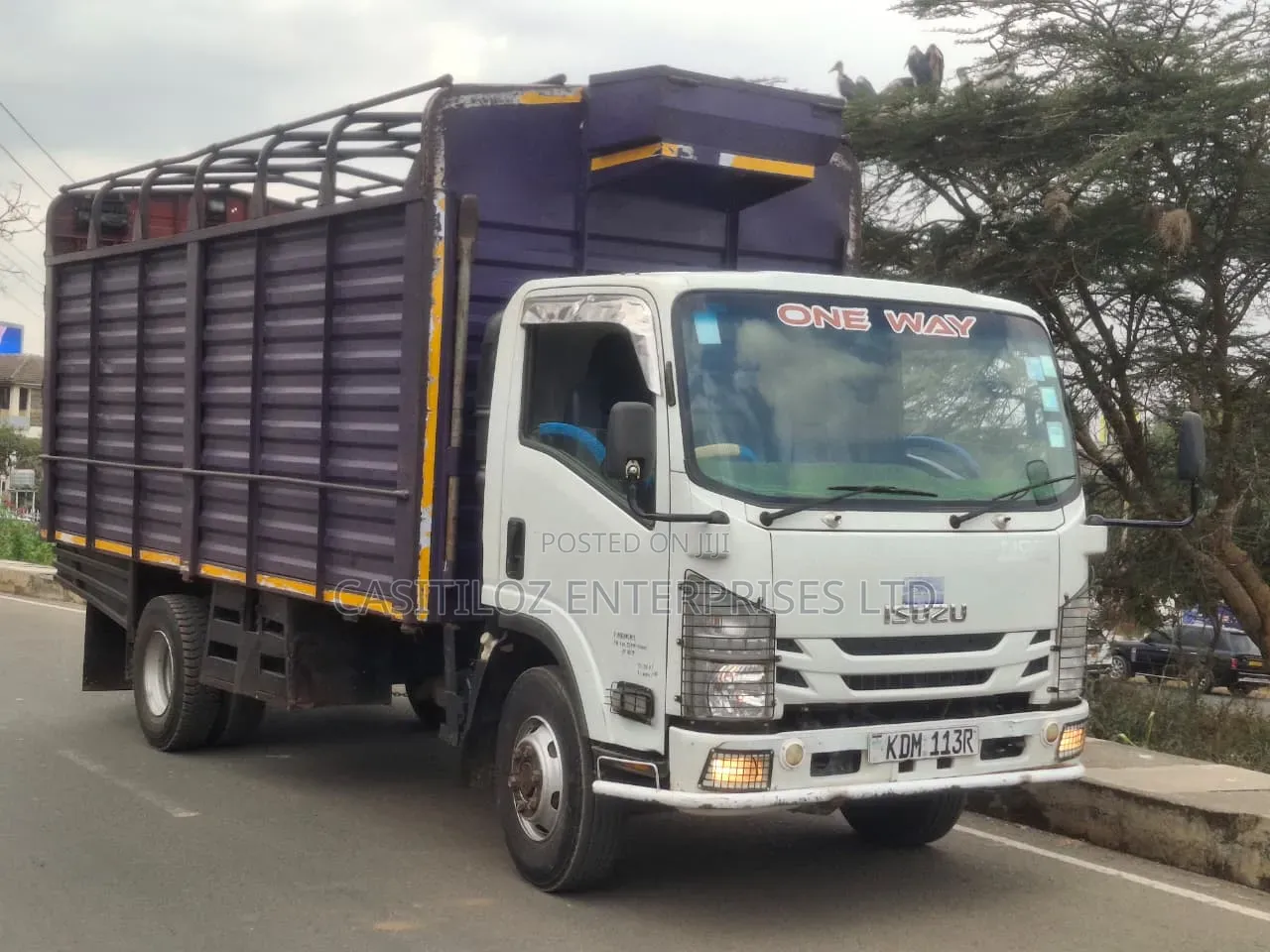 Isuzu NQR Truck