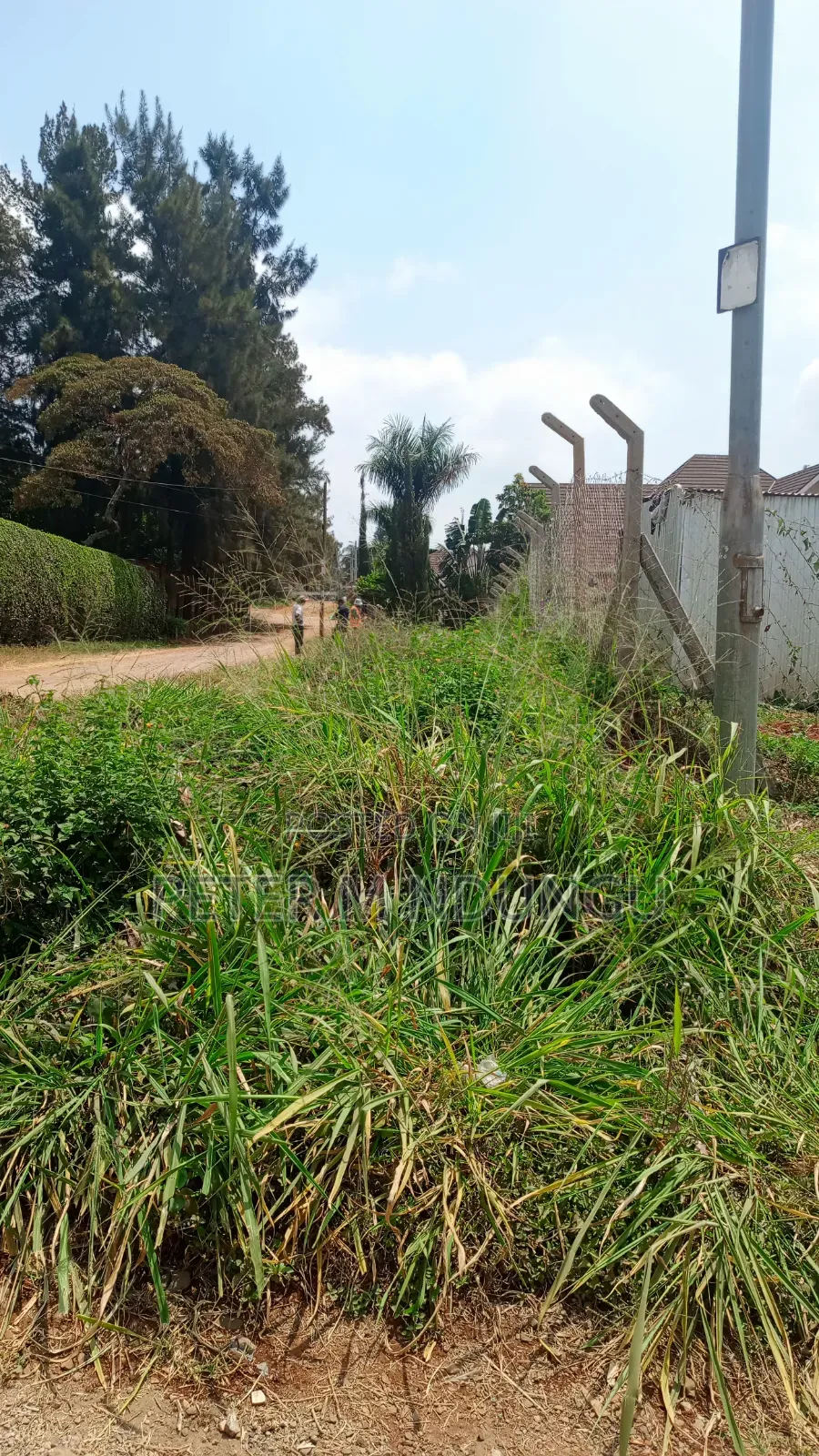 Runda Evergreen- Prime Residential 1/2 Acre With Title