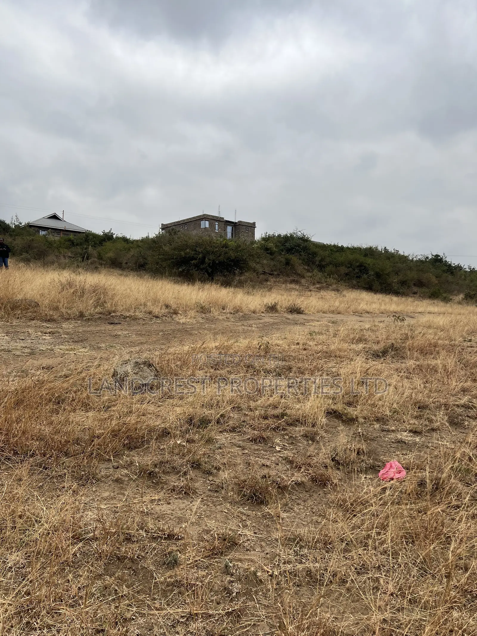 Prime 40*100 Plot for Sale juja Mastore