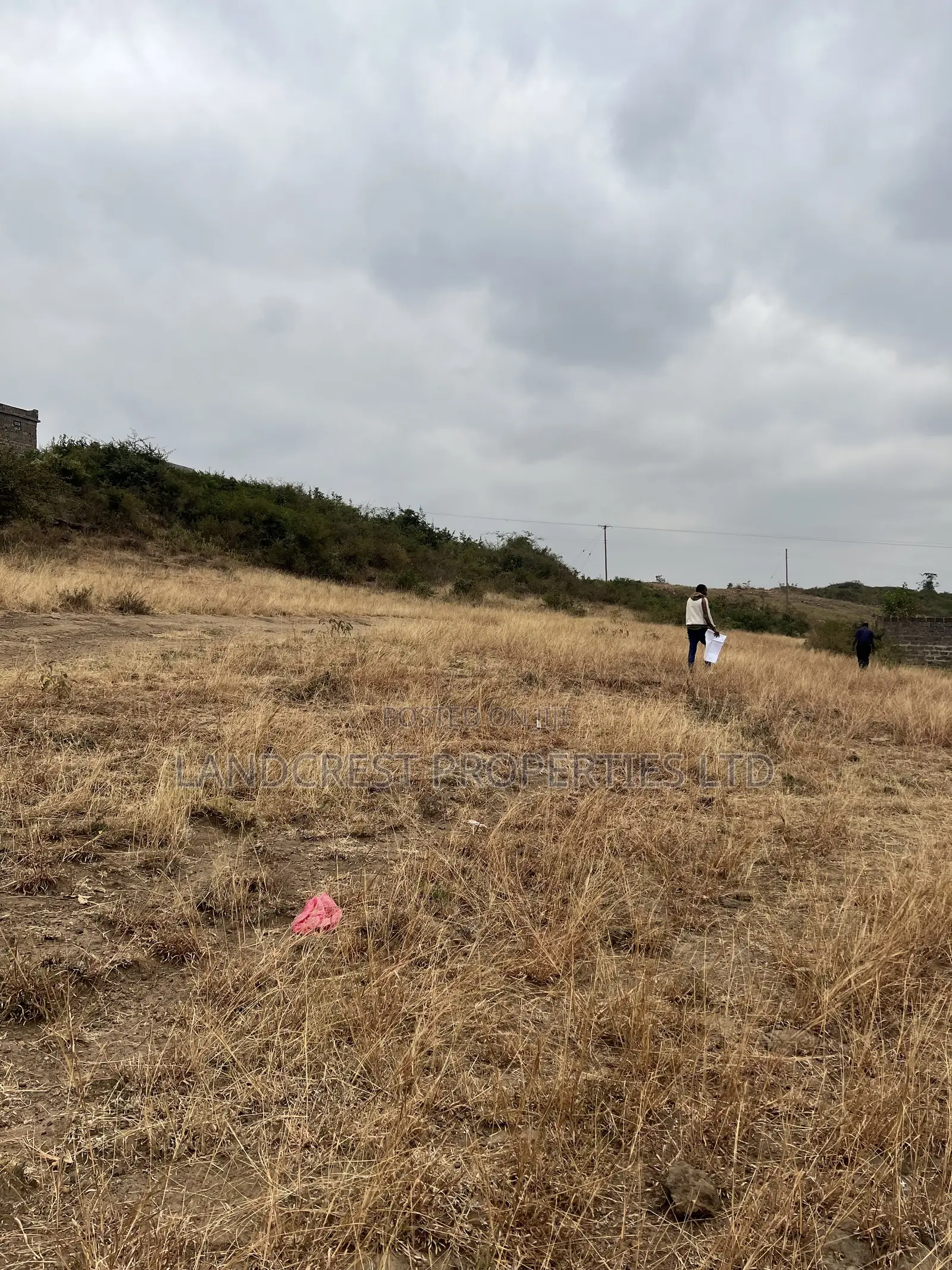 Prime 40*100 Plot for Sale juja Mastore