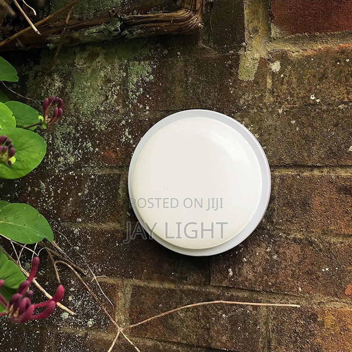 LED IP65 Flush Wall Ceiling Round Dome Bulkhead Light