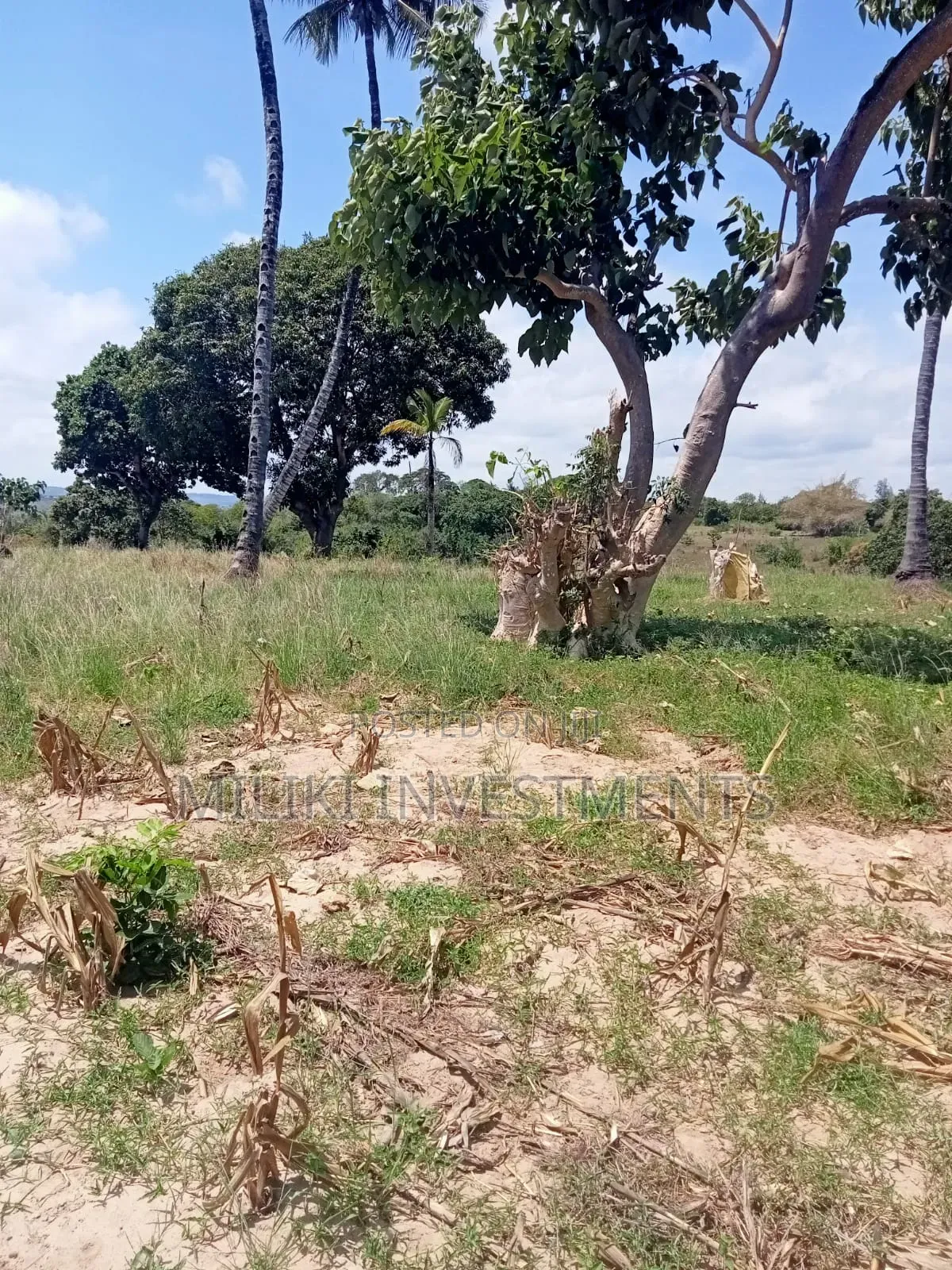 10 Acres Land on Sale at Mombasa -Mtwapa