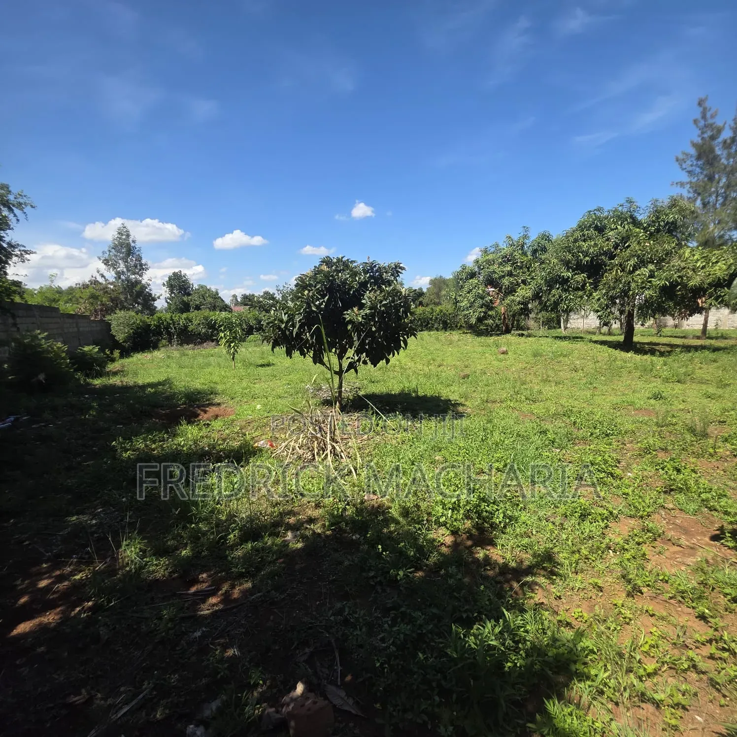 2Adjacent Commercial Plot for Sale Kamakis